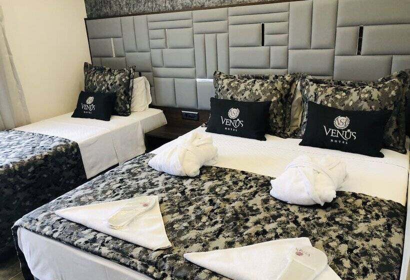 스탠다드 트리플 룸, Venus