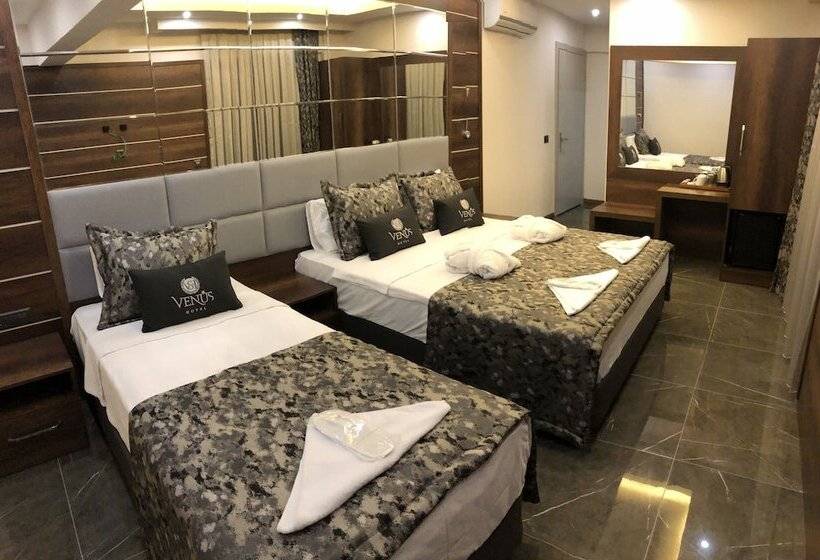 스탠다드 트리플 룸, Venus