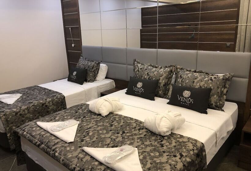 스탠다드 트리플 룸, Venus