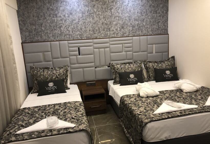 스탠다드 룸, Venus