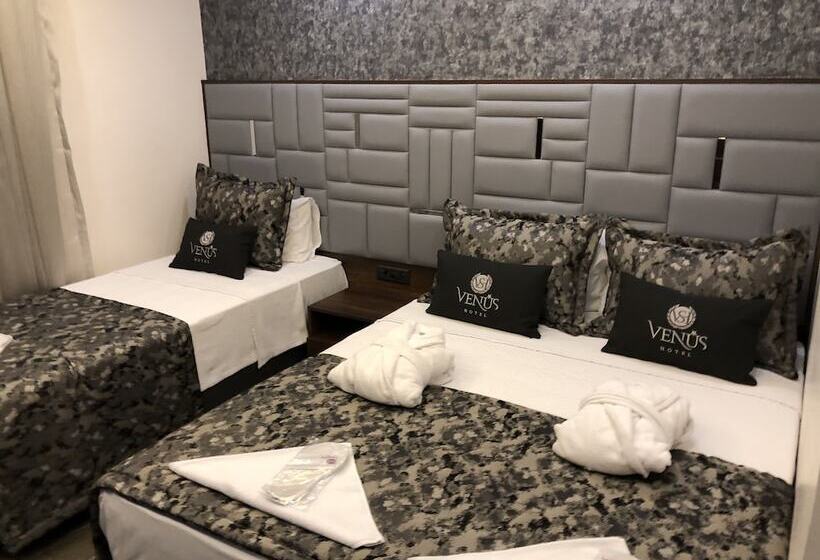 스탠다드 룸, Venus
