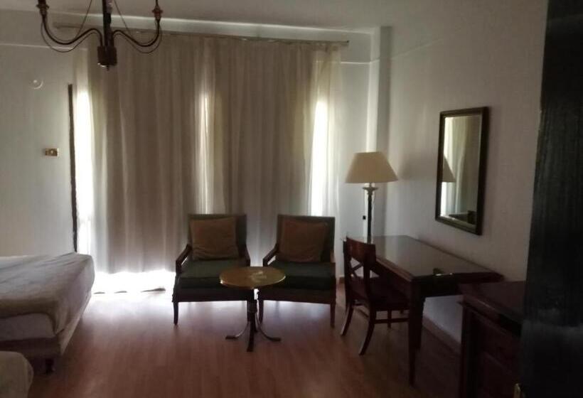اتاق استاندارد یک نفره, Mayorca Hotel Cairo