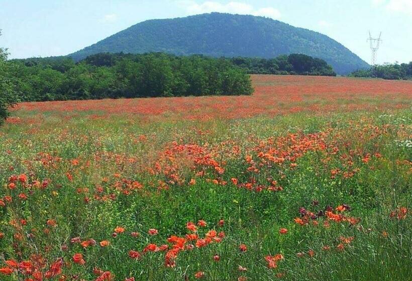 침실 1개 아파트, Ladislaus Schnaps Haus Falusi Vendégház