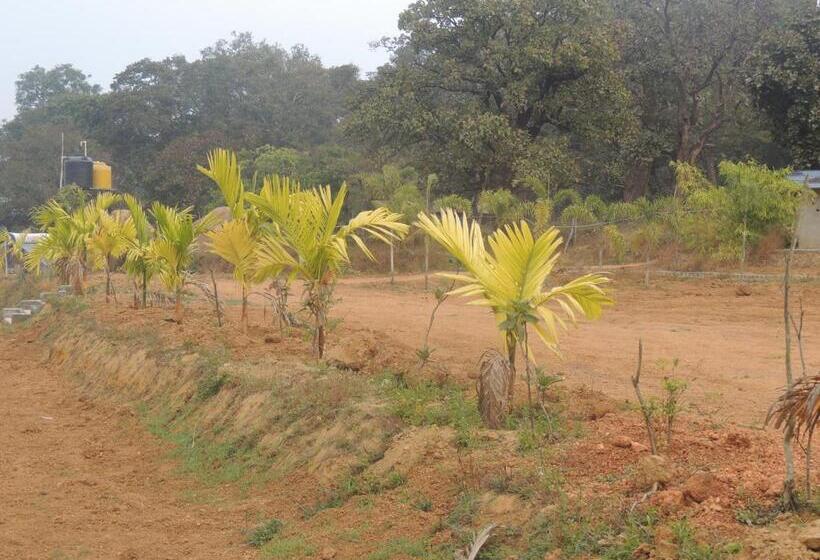 חדר סטנדרט לארבעה, Room In Farmhouse   Dandeli   Aura Jungle Stay