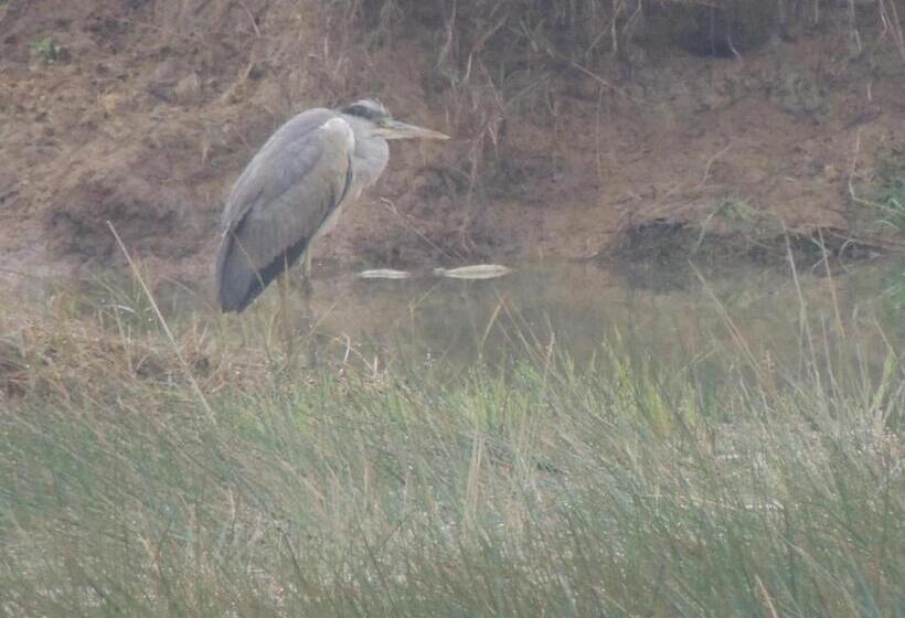 חדר סטנדרט לארבעה, Room In Farmhouse   Dandeli   Aura Jungle Stay