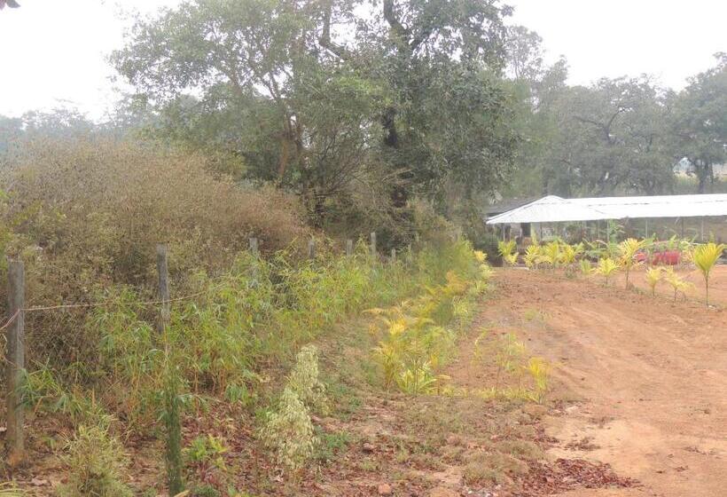 四人标准间, Room In Farmhouse   Dandeli   Aura Jungle Stay