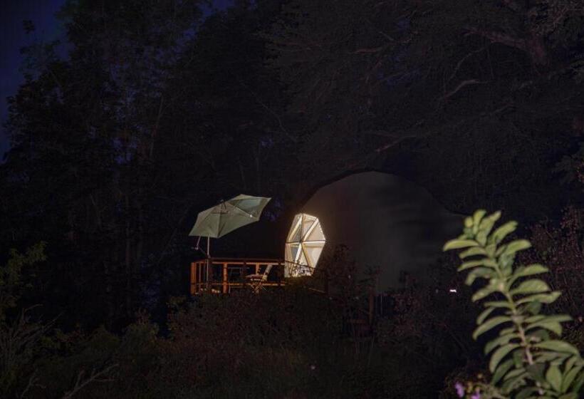 スイート, Cúspide