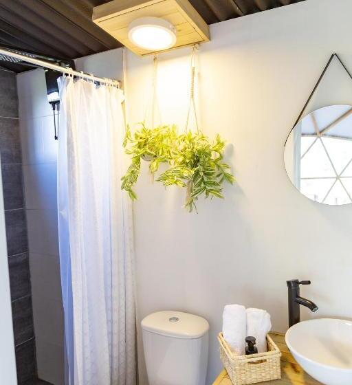 スイート, Cúspide