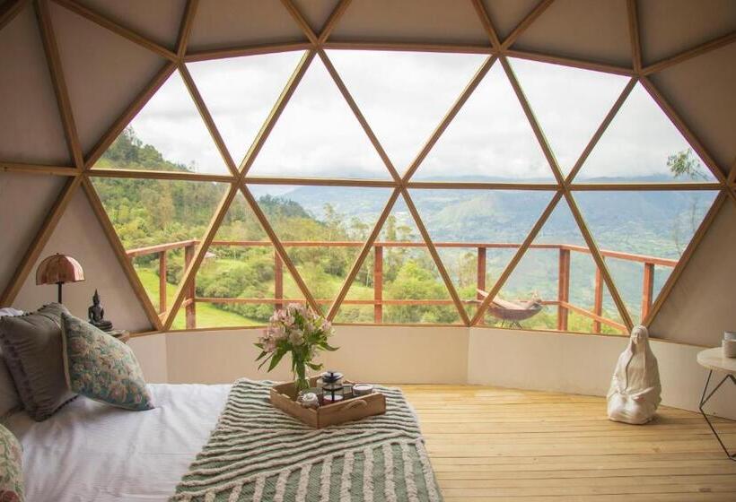 スイート, Cúspide