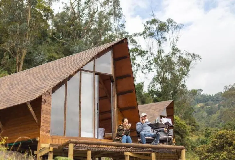 Chambre Deluxe, Cúspide