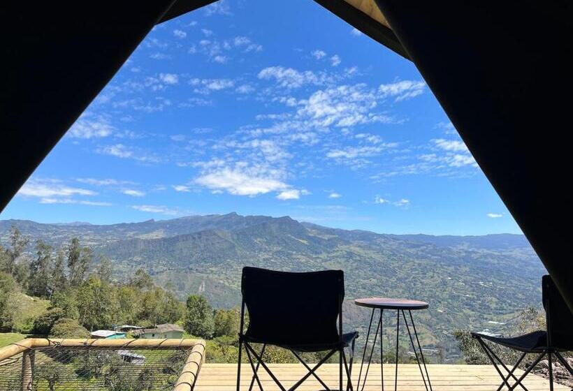 スタンダードルーム, Cúspide