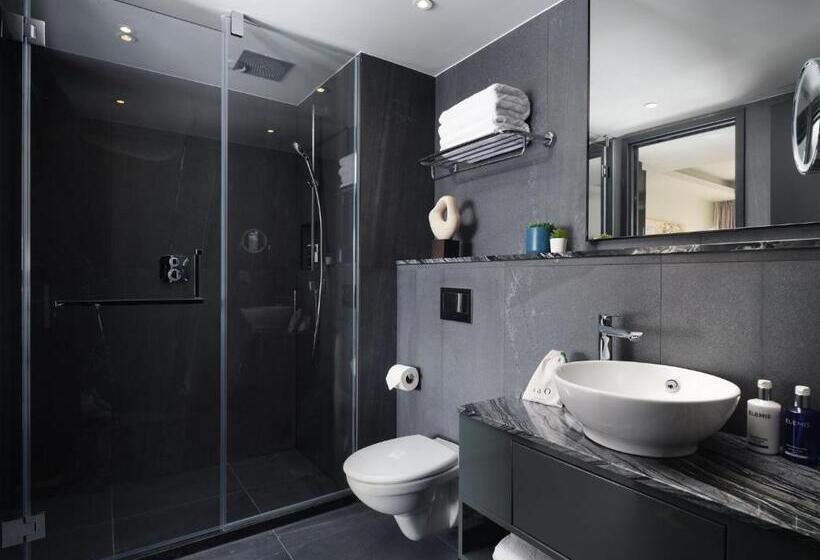 סטודיו סטנדרטי נוף לגינה, Dao By Dorsett West London