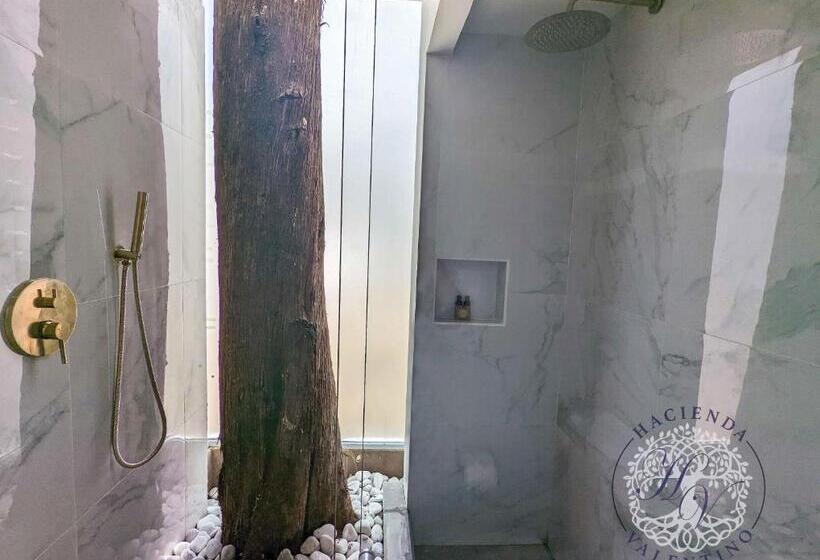 חדר סטנדרט עם מיטת קינג, Hacienda Valentino