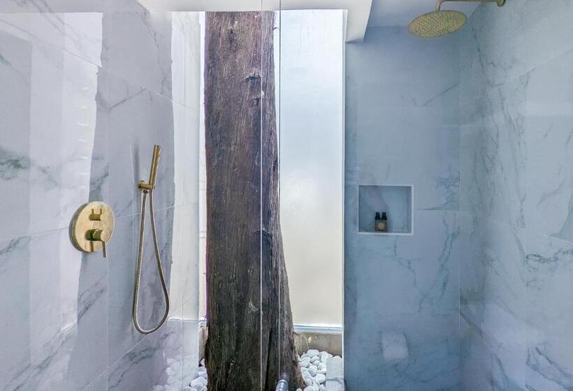 חדר סטנדרט עם מיטת קינג, Hacienda Valentino