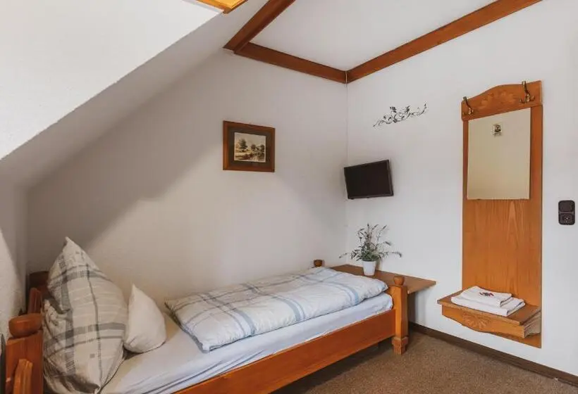 スタンダードシングルルーム, Fremden Und Monteurzimmer Zum Ochsen