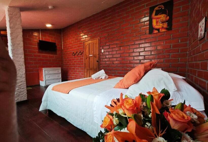 Standard-huone, La Alegría Hostel