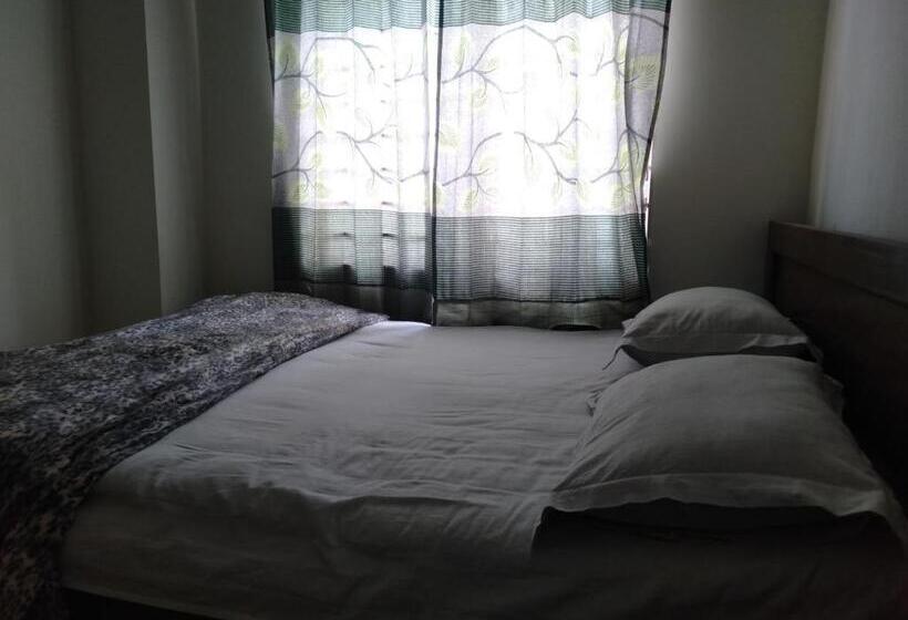 חדר דלוקס, Bonolota International