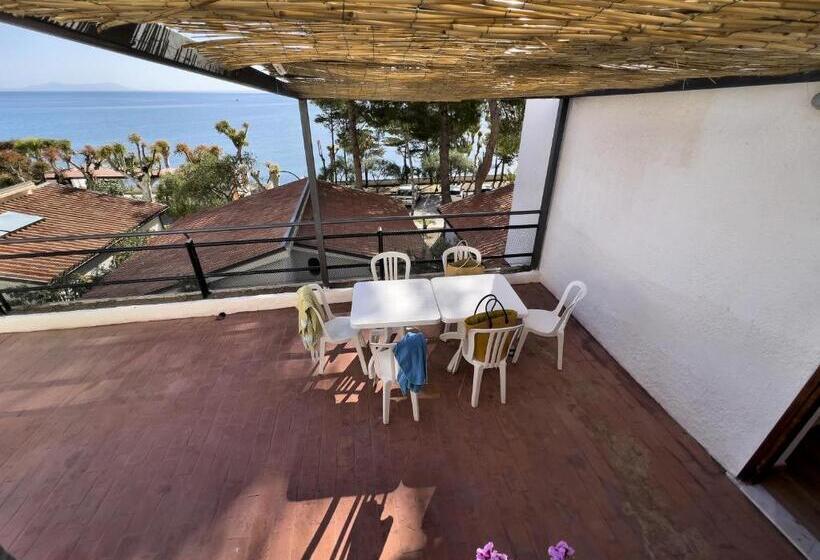 Suite with Terrace, Testa Di Monaco Basic Beach Accommodations