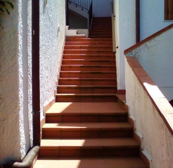 اتاق اکونومی, Testa Di Monaco Basic Beach Accommodations