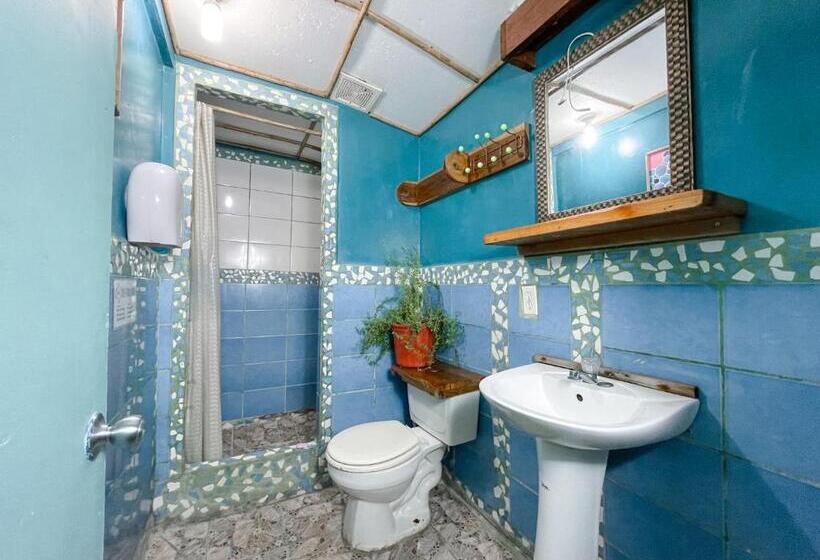 이코노미 룸, Aqua Lounge