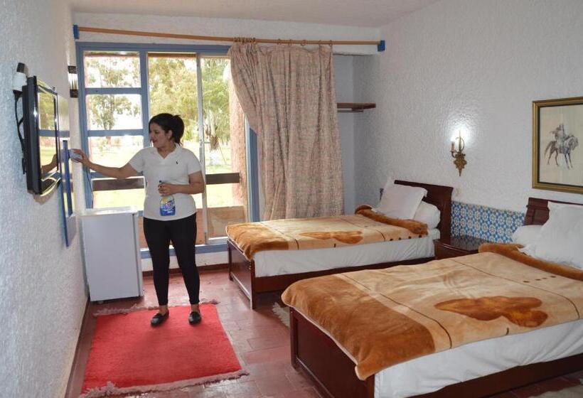 اتاق استاندارد سه نفره, Rose M Gouna