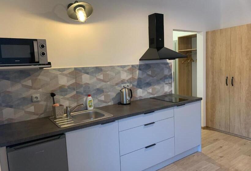 اتاق استاندارد, Benátky 214