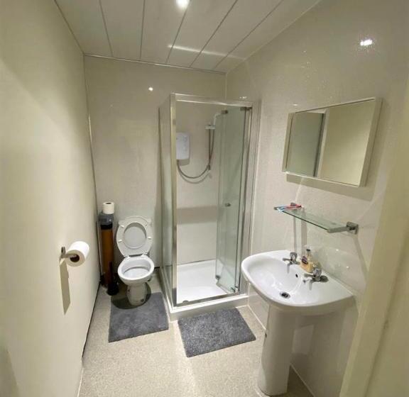 חדר אקונומי, Ibrox Guesthouse