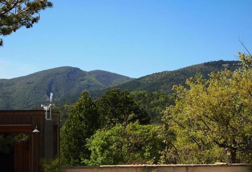 스탠다드 룸, Le Mapillon