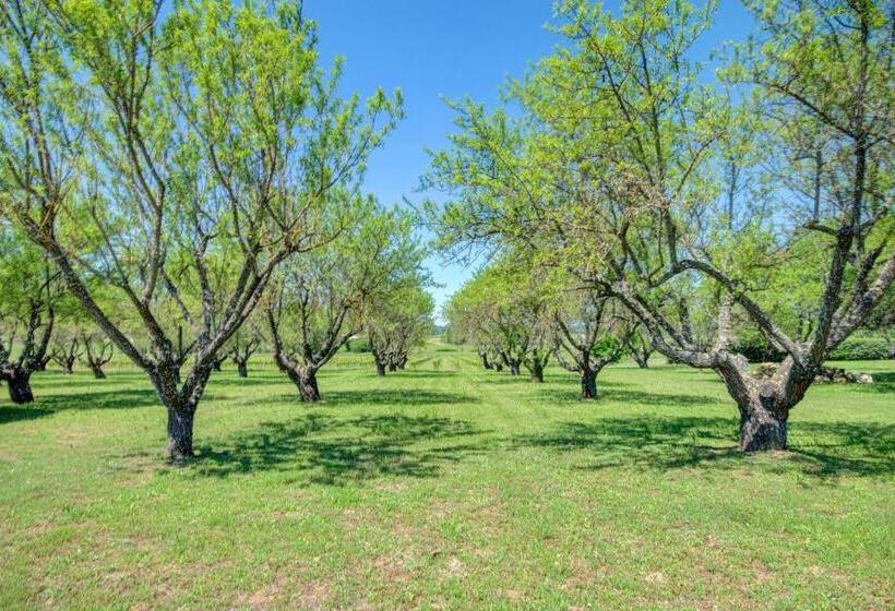 غرفة قياسية, Les Chambres Du Perussier