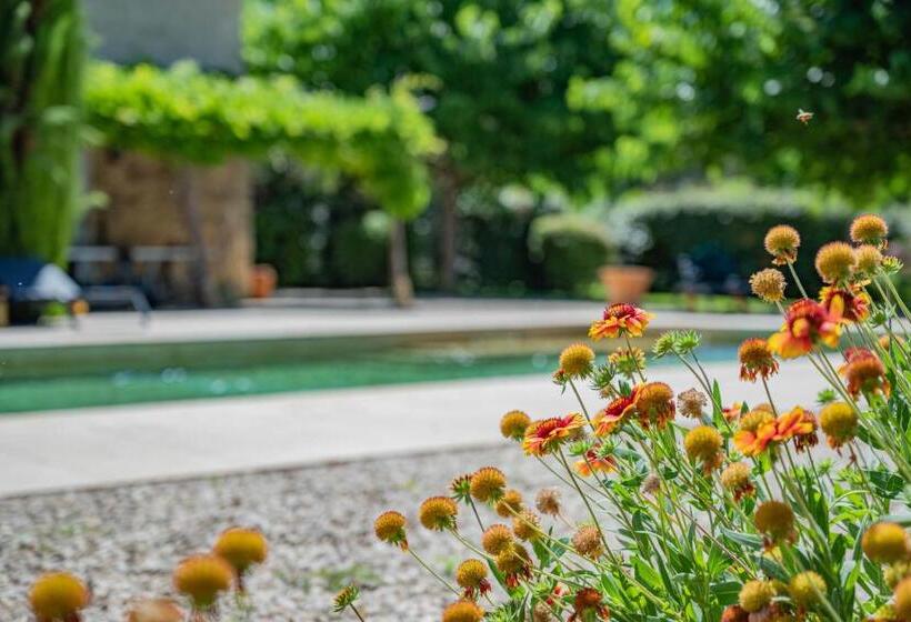 غرفة قياسية, Les Chambres Du Perussier