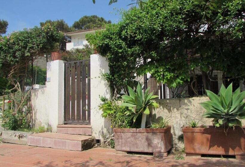 家庭海景房, Villa Majata