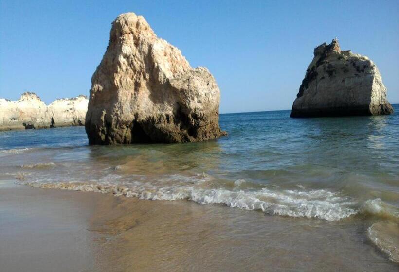 스탠다드 스튜디오, Porto Seguro