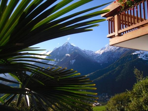 آپارتمان 1 خوابه, Residence Geringerhof