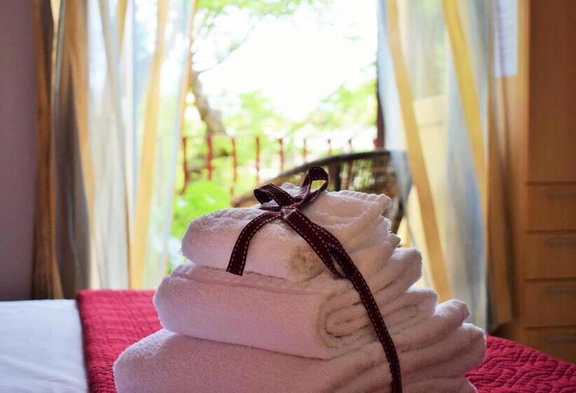 اتاق استاندارد, Actinia Accommodation