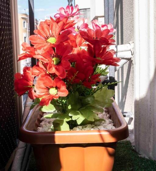 غرفة أساسية, Rooms 20 Settembre