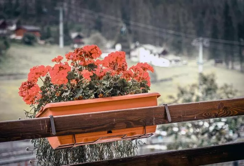 سوییت, Chalet Du Lys Hotel & Spa