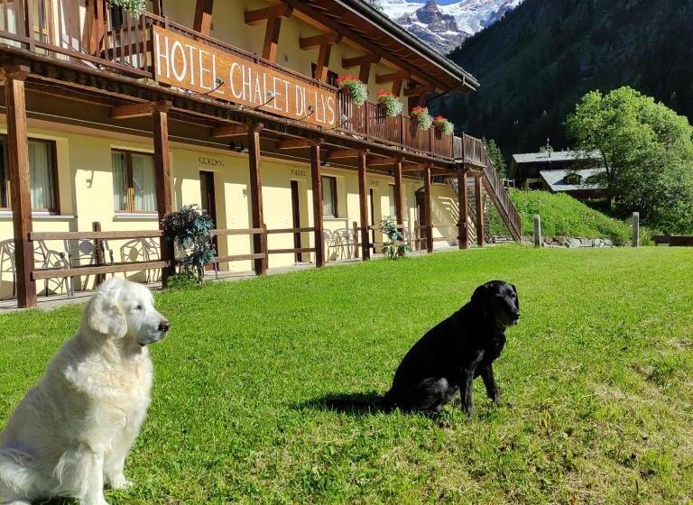 Номер Стандарт Вид на Горы, Chalet Du Lys Hotel & Spa
