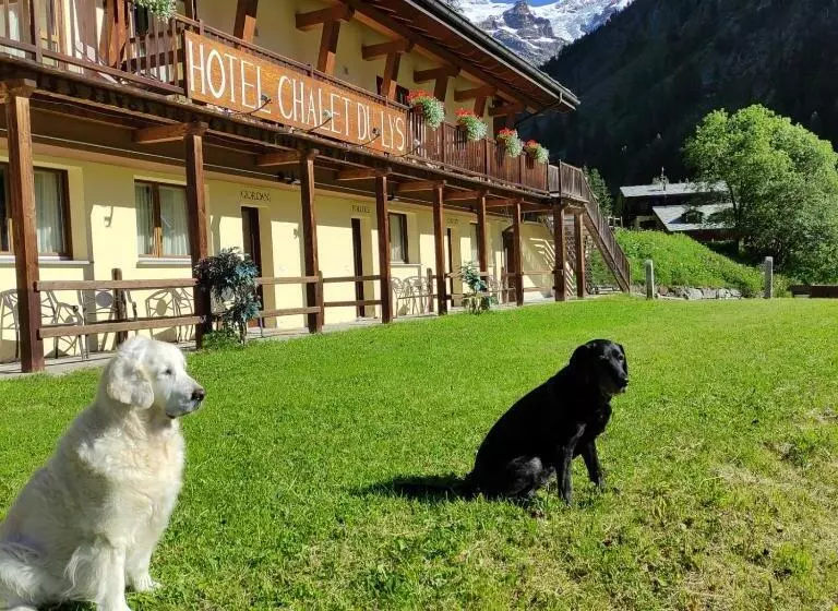 اتاق استاندارد با چشم‌انداز کوهستان, Chalet Du Lys Hotel & Spa
