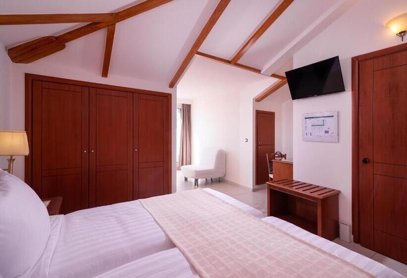 اتاق سوپریور, Avalon Palace