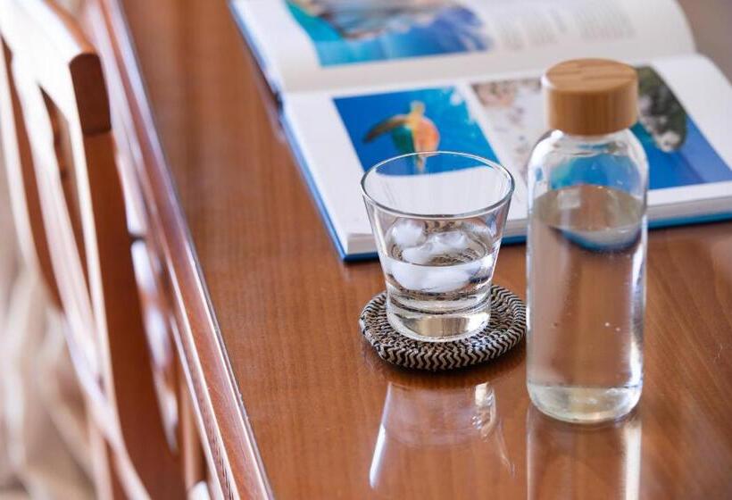 اتاق سوپریور, Avalon Palace