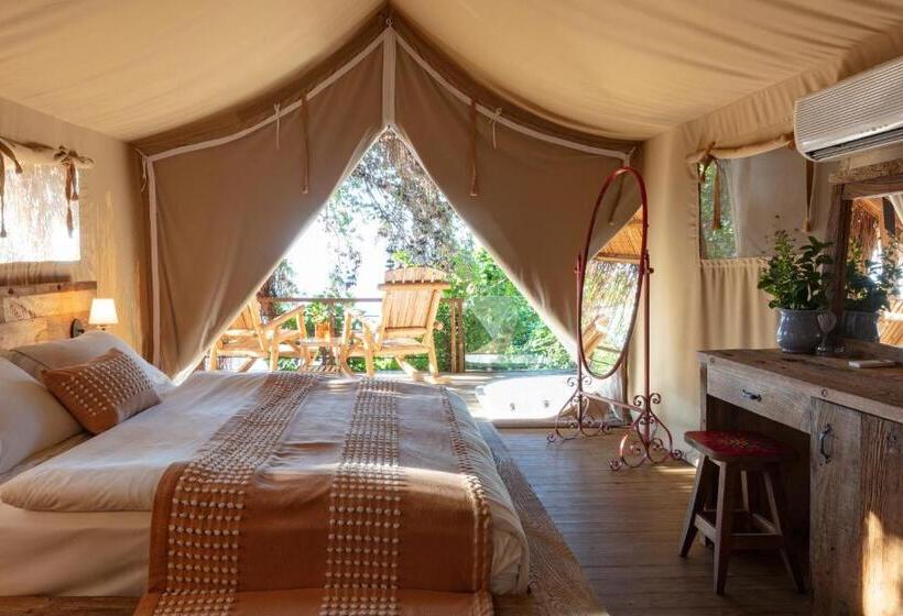 סוויטת סופריור, Perdue