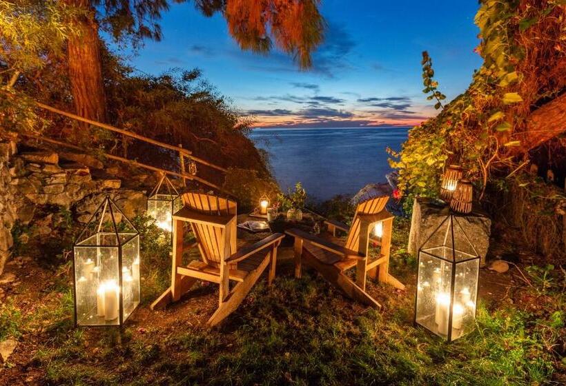 סוויטת סופריור, Perdue