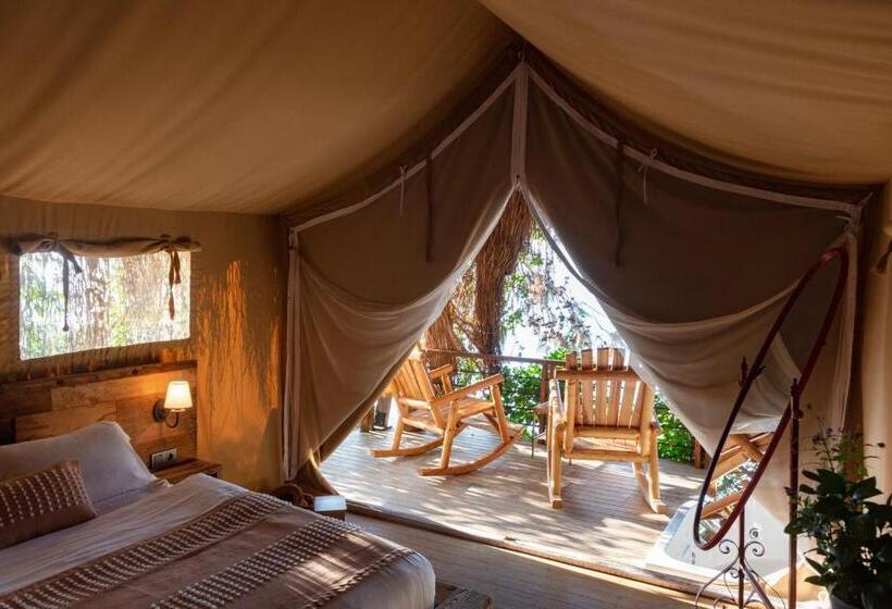 סוויטת סופריור, Perdue