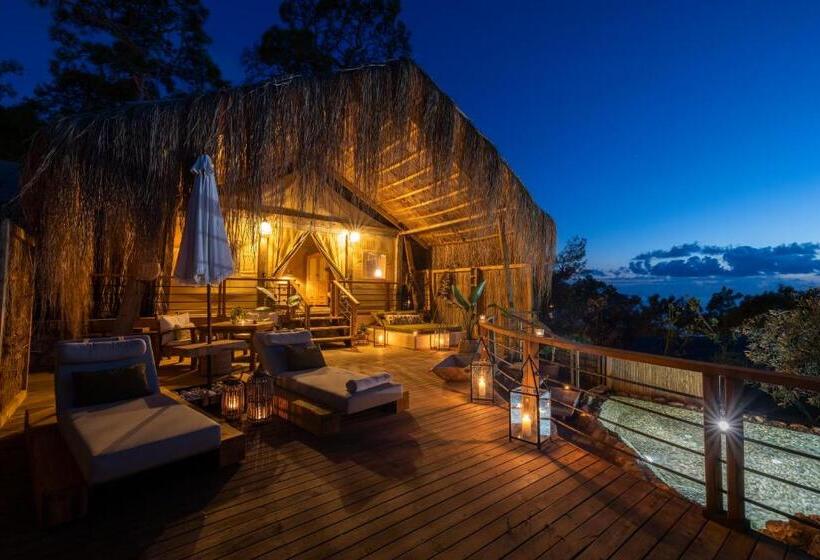 מיטת קינג בסוויטה, Perdue