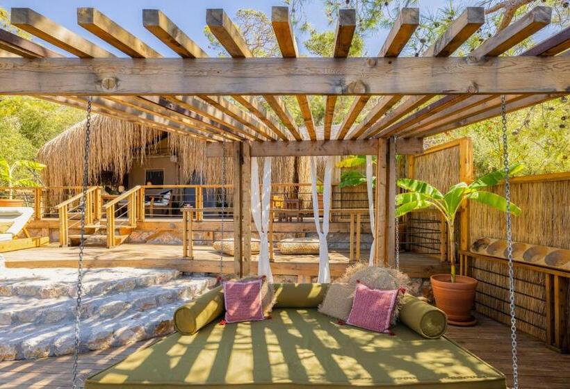 מיטת קינג בסוויטה, Perdue