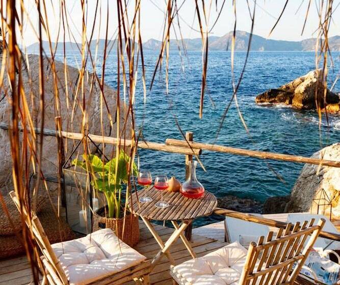 סוויטת סופריור, Perdue