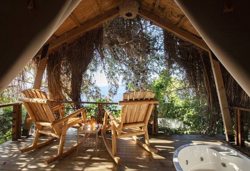 סוויטת סופריור, Perdue