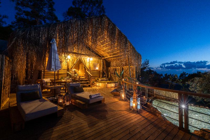 מיטת קינג בסוויטה, Perdue