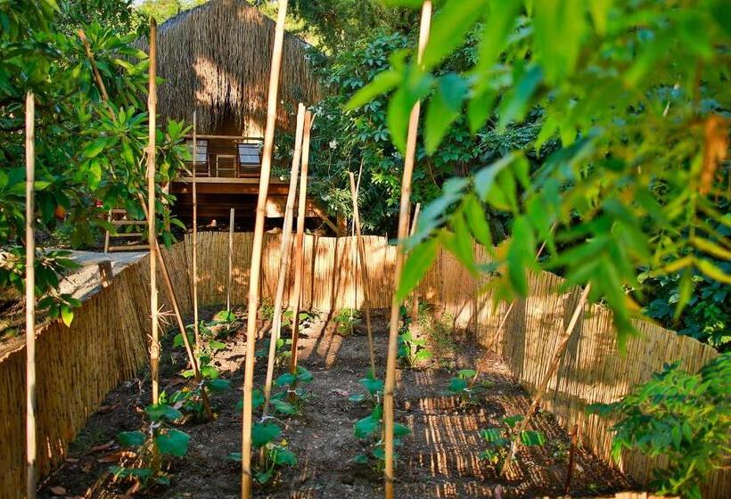 סוויטה נוף לגינה, Perdue