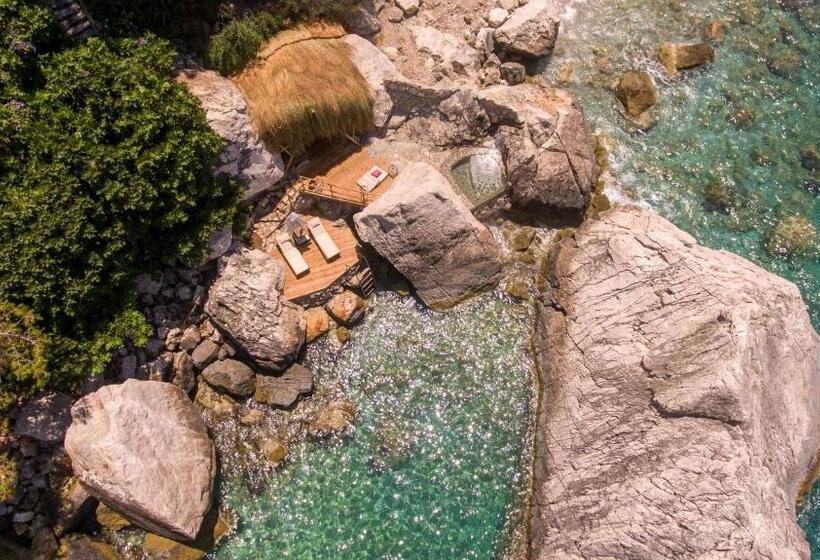 סוויטת סופריור, Perdue